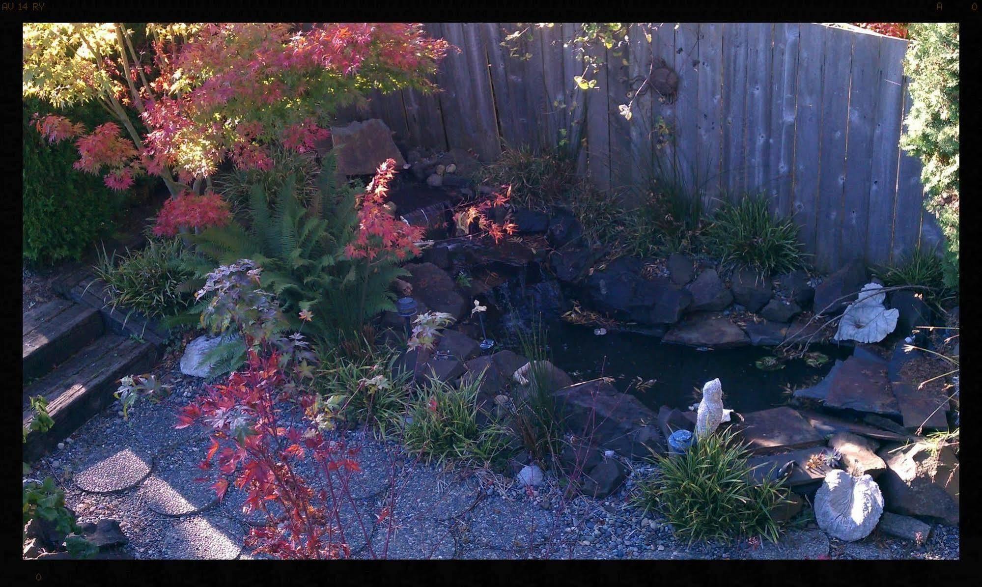 Secret Garden Bed And Breakfast Tacoma Exterior photo